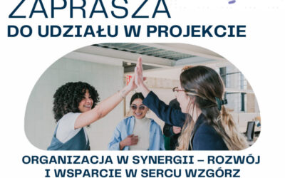 „Organizacja w synergii – rozwój i wsparcie w sercu Wzgórz”